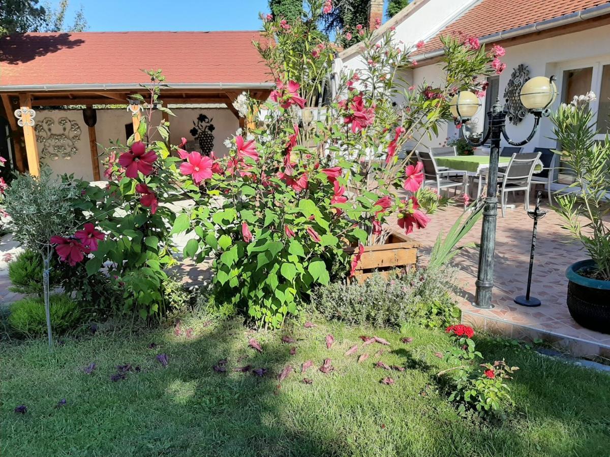 Elizabeth Apartman Tokaj Luaran gambar