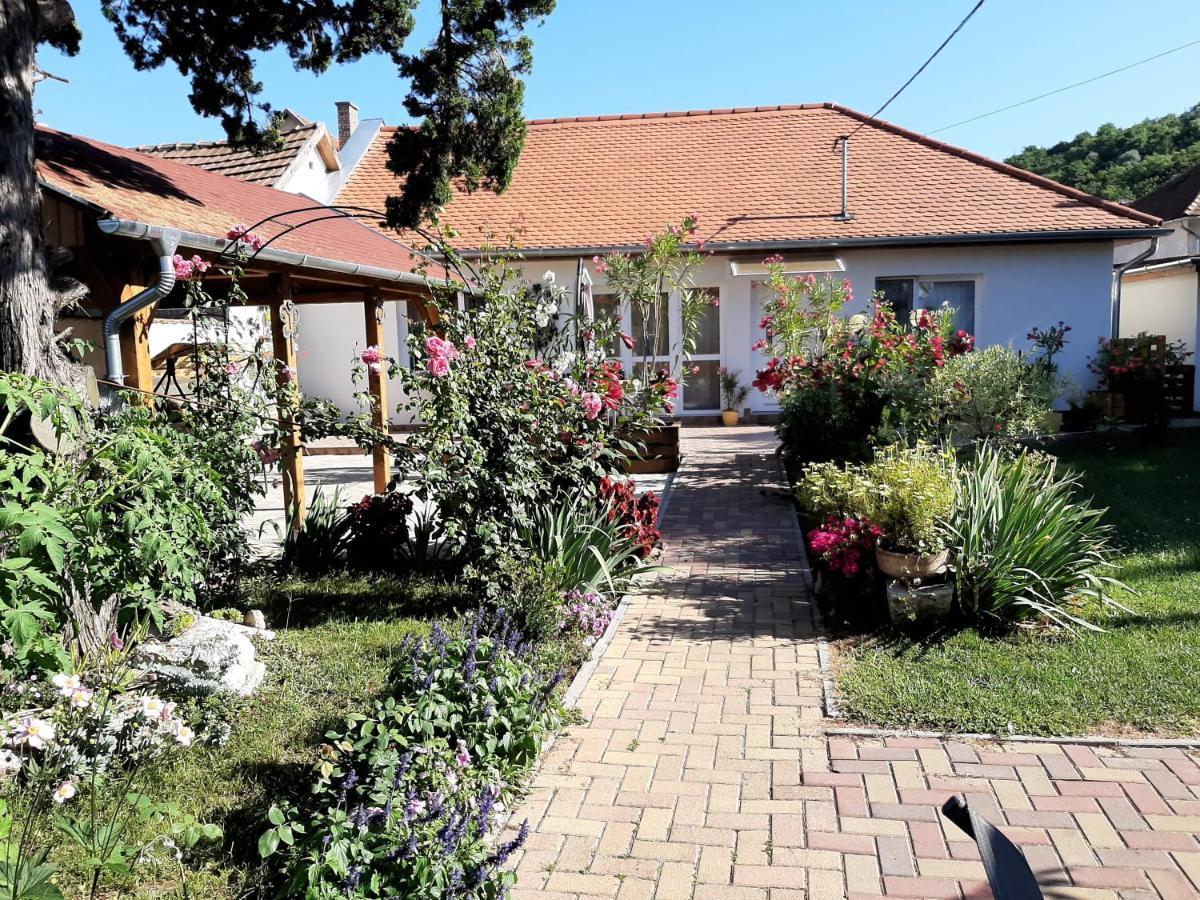 Elizabeth Apartman Tokaj Luaran gambar