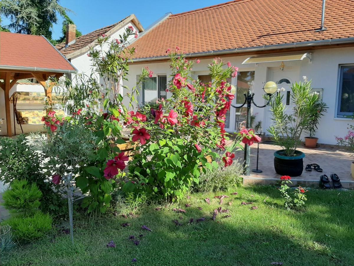 Elizabeth Apartman Tokaj Luaran gambar