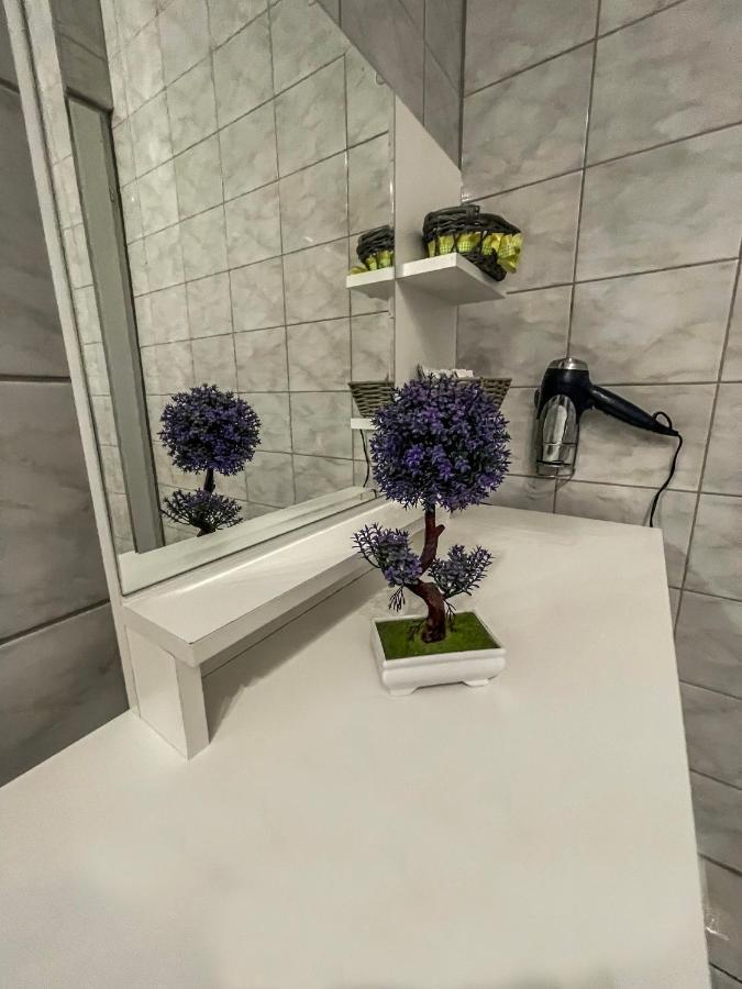 Elizabeth Apartman Tokaj Luaran gambar