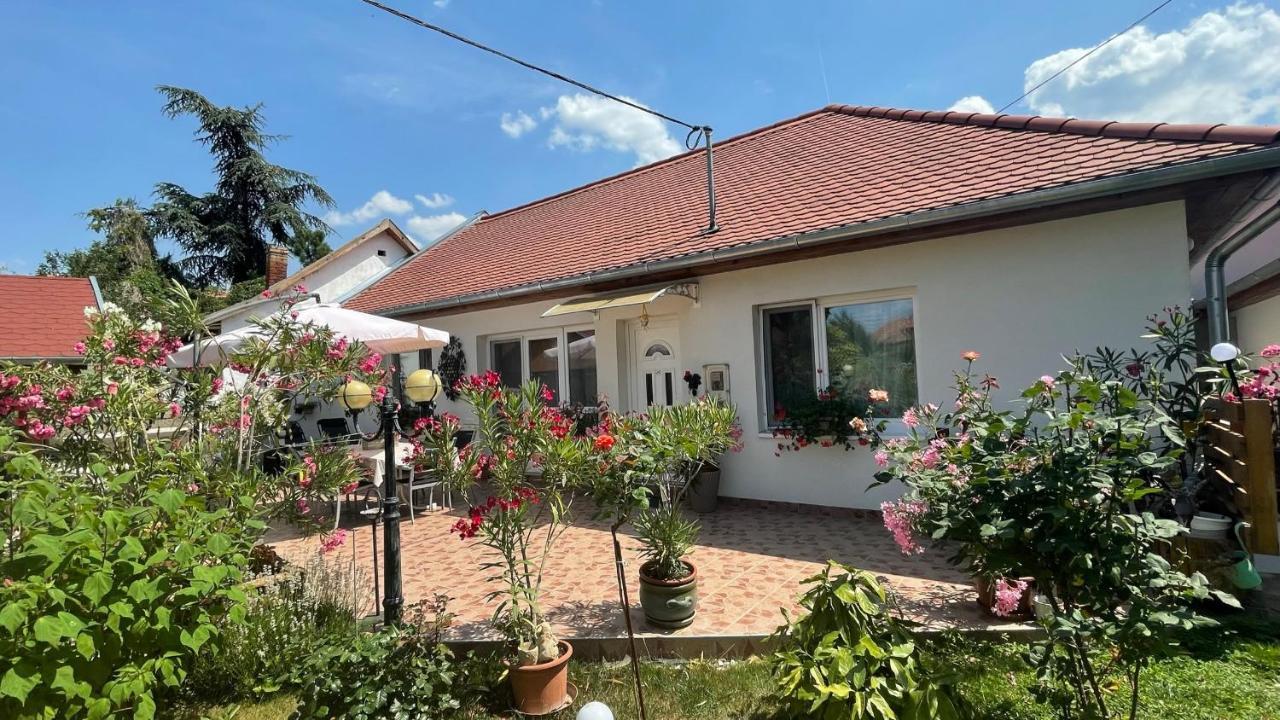 Elizabeth Apartman Tokaj Luaran gambar